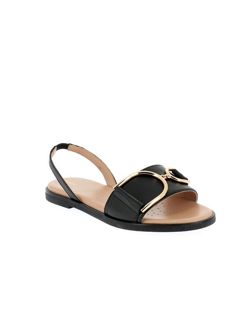 Naileen A sandalo da donna in pelle nera GEOX | D35SDA000TUC9997