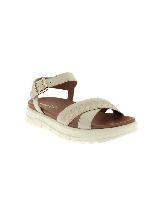 Xand 2.1S B sandalo da donna in pelle beige GEOX | D55SZB08504C1122