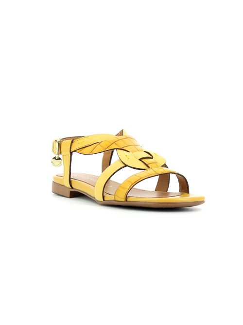  STONEFLY | 21748069Q