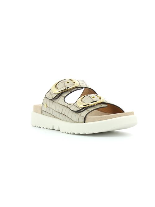  STONEFLY | 217489095