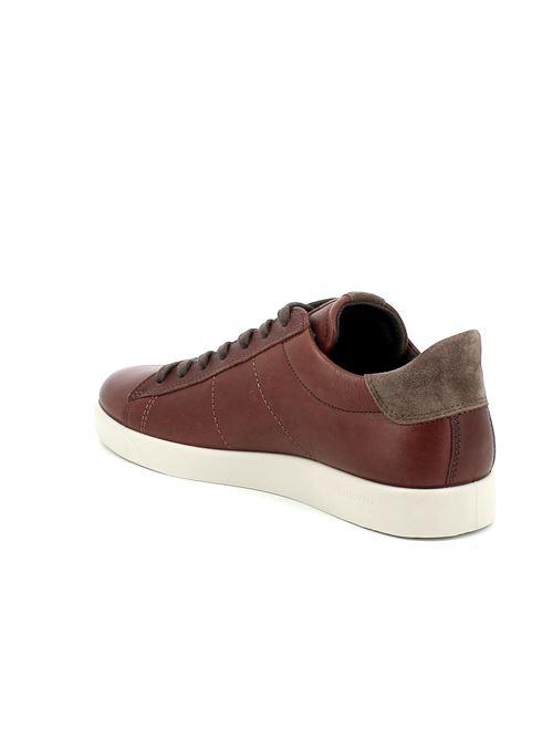 Street Lite M - stringata da uomo in pelle marrone ECCO | 52135456359