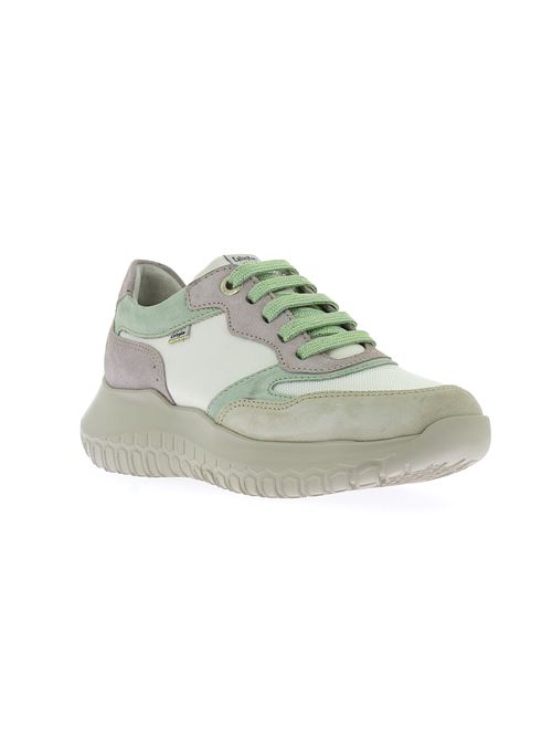 sneakers da donna modello Malibu in camoscio e tela multicolor CALLAGHAN | 538021